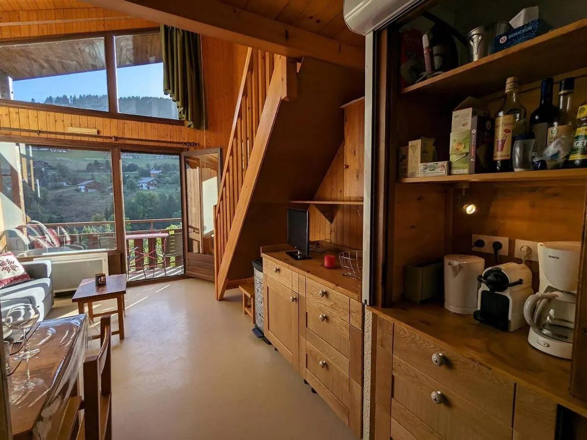 Duplex Cosy Au Pied Des Pistes Avec Garage - La Clusaz - Fr-1-459-223